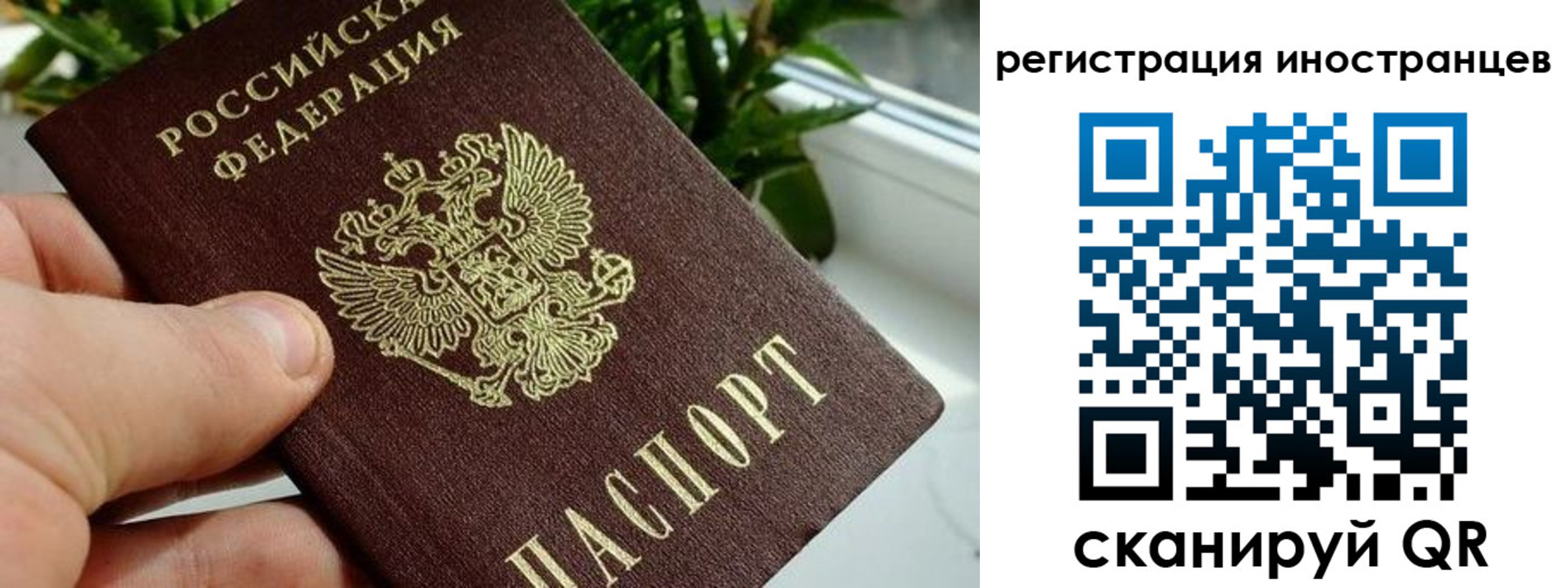 регистрация в Крымске